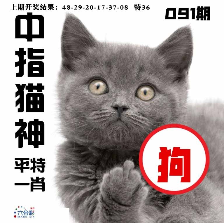 091期中指猫神[图]