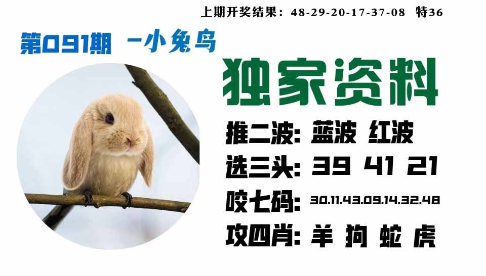 091期小兔鸟[图]